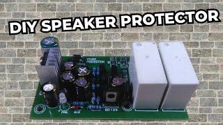 diy speaker protector
