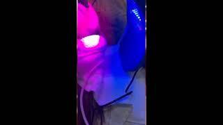 LIGHT THERAPHY TREATMENT FOR WRINKLES #asmr #beauty # satisfying