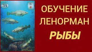 Обучение гаданию на Оракуле Ленорман. Карта Рыбы.