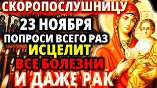 23 ноября ИСЦЕЛЯЕТ ВСЕ! Молитва Богородице Скоропослушница Акафист Скоропослушнице Православие