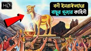 বনী ইসরাইলের বাছুর পুজা || The calf worship Of bani israel || Md Tamim