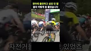 이 말이 마굿간을  뛰처 나간 이유