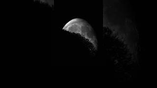 Moon and Saturn conjunction #saturn #moon #telescope #magnifyingspace #space #astrophotography