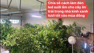 Chia sẽ làm đèn LED .máy nóng ,nhiệt độ đúng cách.cây ăn trái xanh tươi  trong nhà kính  mùa lạnh..