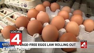 New law changing the way eggs are sold in Michigan