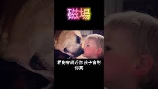 磁場：你身上的正能量 #開悟 #覺醒 #靈性成長