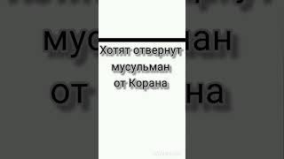 Хотят отвернут от чтения Корана #коран #напоминание #религия Ислам #учёные #хадисы#любовь #цитаты