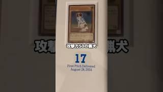The reason why Dekofin's Yu-Gi-Oh card is so weak lol