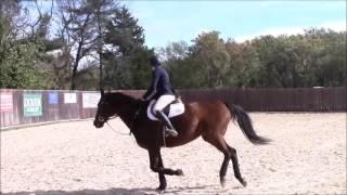 Goucher Equestrian Year-End Video 2016-2017