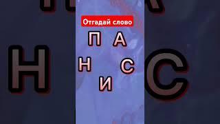 #shorts #rätsel #puzzle #brainteaser #riddle #задача #головоломка #загадка