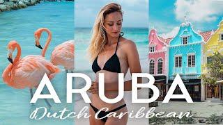 ARUBA Island Tour + Travel Guide!  (18 best things to do & vacation tips!)