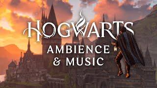 Hogwarts Castle Grounds  Harry Potter Music & Ambience