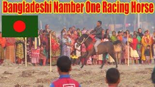 horse racing in Bangladesh || This horse of Bangladesh has never lost a game || Fishing Master BD