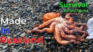 Survival On a Desert Island / Far East  of Russia / Butchering Live Octopuses.