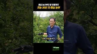 귀농 30년 차 매실 농부 #shorts