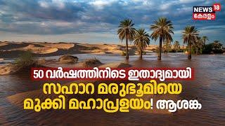 Rare Rain Floods Sahara Desert; 50 Yearsനിടെ ഇതാദ്യമായി Sahara Desertനെ മുക്കി മഹാപ്രളയം! ആശങ്ക N18G