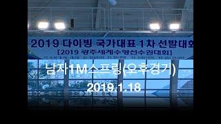 2019 다이빙 국가대표 1차 선발대회 남자1M스프링 오후경기(19.1.18)