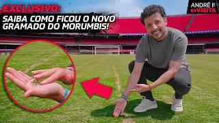 SAIBA COMO ESTÁ O NOVO GRAMADO DO MORUMBIS PARA OS JOGOS DO SÃO PAULO!