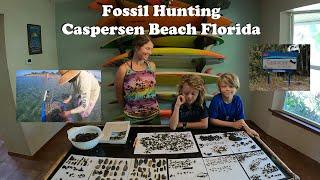 Caspersen Beach FL Fossil Hunting | Tips & Tricks + Identification Session