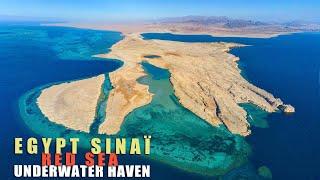 Egypt Sinaî: Ras Muhammad National Park and Dahab: Underwater haven