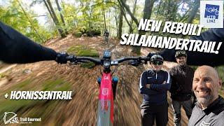 Rebuilt and partly new Salamander Trail +Hornissentrail RAW, MTB Linz Pfenningbergtrails | YT Decoy