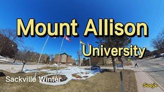 Mount Allison University