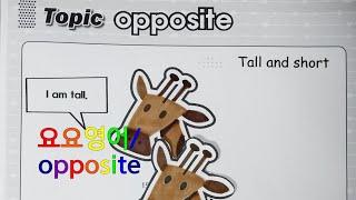 요요영어/opposite/giraffe/놀이영어/만들기영어/홈스쿨링