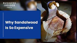 Why Sandalwood Is So Expensive | So Expensive