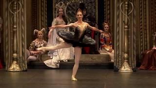 St Petersburg Ballet Theatre's Swan Lake