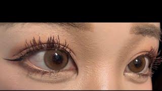 웜톤들 극락가는 직경 큰 렌즈 벤티앤 브라운 #렌즈 #렌즈추천 #웜톤
