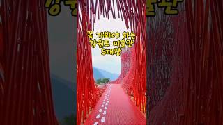 강원도에서 꼭 가봐야하는 미술관 5대장!  #영월 #젊은달와이파크 #강릉 #하슬라아트월드 #원주 #뮤지엄산 #정선 #삼탄아트마인 #양구 #박수근미술관 #국내여행 #국내여행지추천