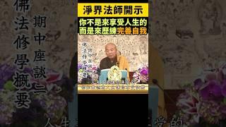 淨界法師：你不是來享受人生的，而是來歷練，完善自我