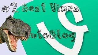 #2 Best Vines - TutoBlog