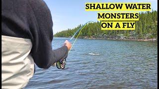 Shallow Water Monsters On A Fly