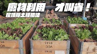 10年經驗分享：打造環保高效蔬菜箱，開啟永續農業新紀元！