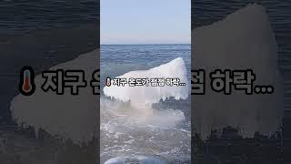 공룡 멸종의 진짜 원인?  그 세번째 이야기  #shorts #쇼츠