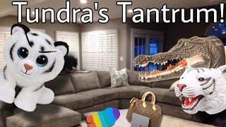 CRINGY TOYS: Tundra's Tantrum!