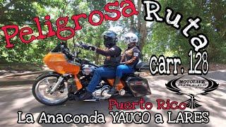 Peligrosa Ruta  | YAUCO a LARES | carretera 128 La Anaconda 2024 @PatoColl