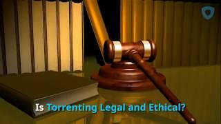 All You Need To Know About Torrents and Torrent VPNs