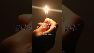 마음이 편안해지는 불교 말씀 #부처님말씀 #불교 #마음공부 #명언