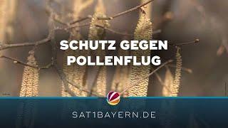 Pollenflug in Bayern: Das sollten Allergiker beachten