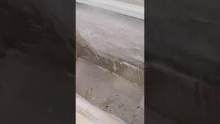 ужас за морозильником. #чистка