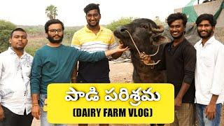 dairy farm | BSBY | @gokulkrishnadairyfarm | b vikram.