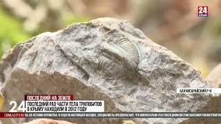О крымских трилобитах (сюжет на Крым 24)