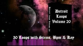 "Detroit Loops" Vol.20 || Detroit Loop Kit 2020