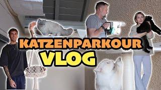 NEW CAT PARKOUR  VLOG - The cat garden continues!