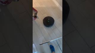 THE ROOMBA CONVICT #roomba #vaccumcleaner #vaccum