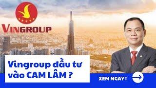 (Hot) Tập đoàn Vingroup đầu tư vào Cam Lâm? | Nguyễn Kim Châu