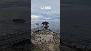 [속초 브이로그] 동명항의 아침과 저녁 풍경｜로컬크리에이터가 전하는 진짜 속초 이야기