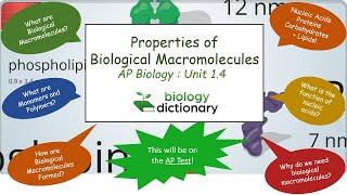 Properties of Biological Macromolecules | AP Biology 1.4